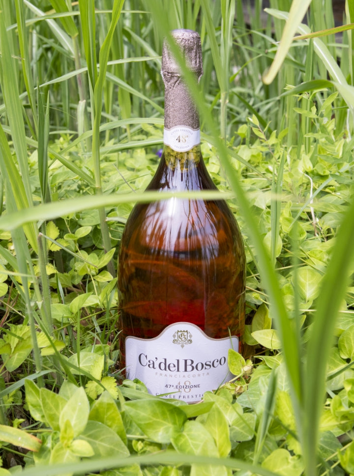 6 calici Riedel + Cuvée Prestige Rosé Edizione 48 1,5 lt